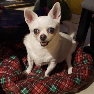 Fundraising Page: APRIL WILK